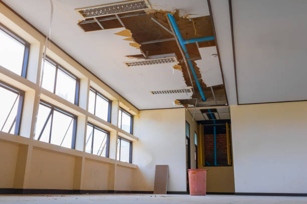 Best Water damage contractors near me  in Crystal, MN