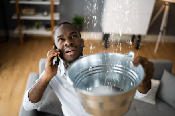 Best Water damage restoration near me  in Crystal, MN