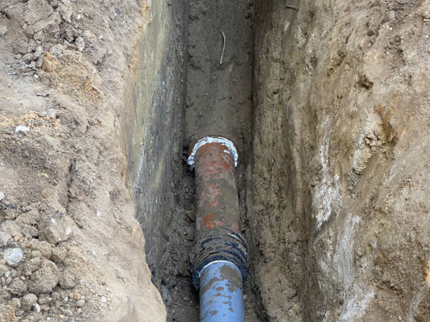 Best Sewage cleanup and water damage restoration  in Crystal, MN