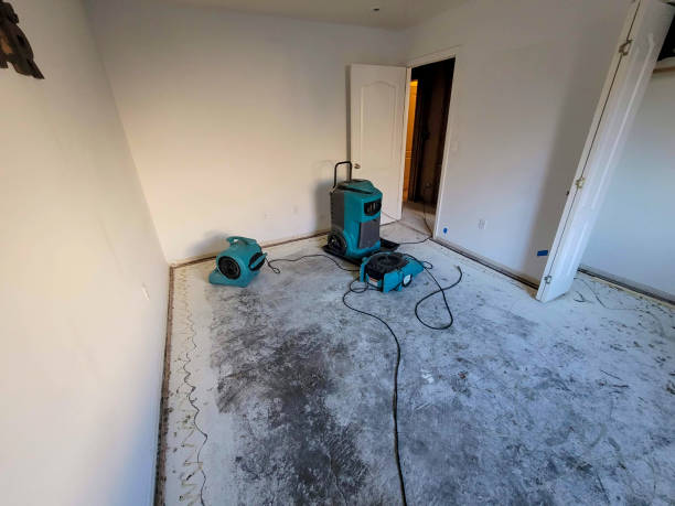 Best Professional water damage repair  in Crystal, MN