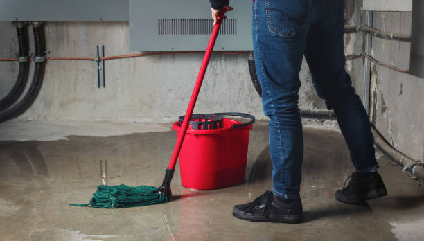 Best Flood damage cleanup  in Crystal, MN