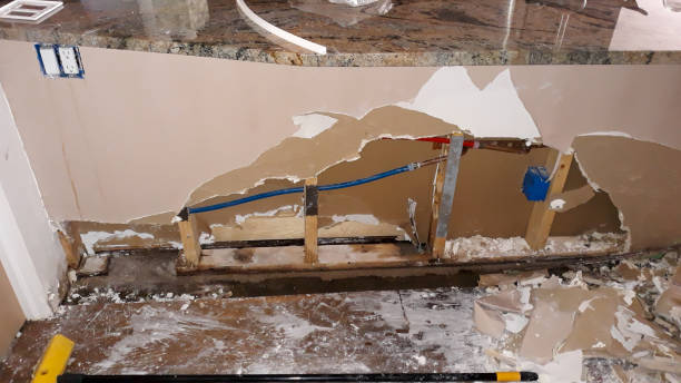 Best 24/7 water damage repair  in Crystal, MN