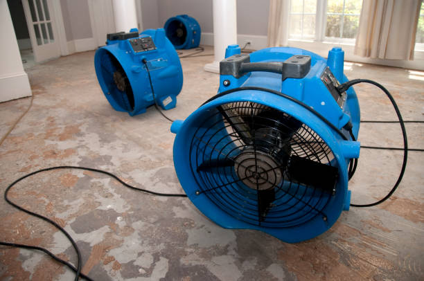 Best Water damage restoration specialists  in Crystal, MN