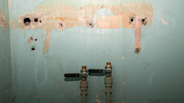 Best Local water damage restoration  in Crystal, MN
