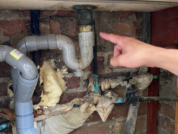 Best Mold removal after water damage  in Crystal, MN