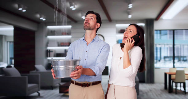 Best Water damage restoration near me  in Crystal, MN