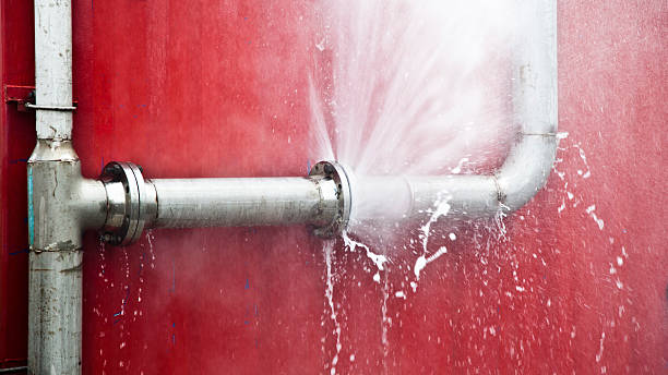 Best Water damage restoration process  in Crystal, MN