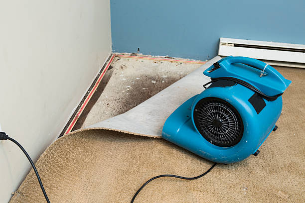 Reliable Crystal, MN Water damage restoration Solutions